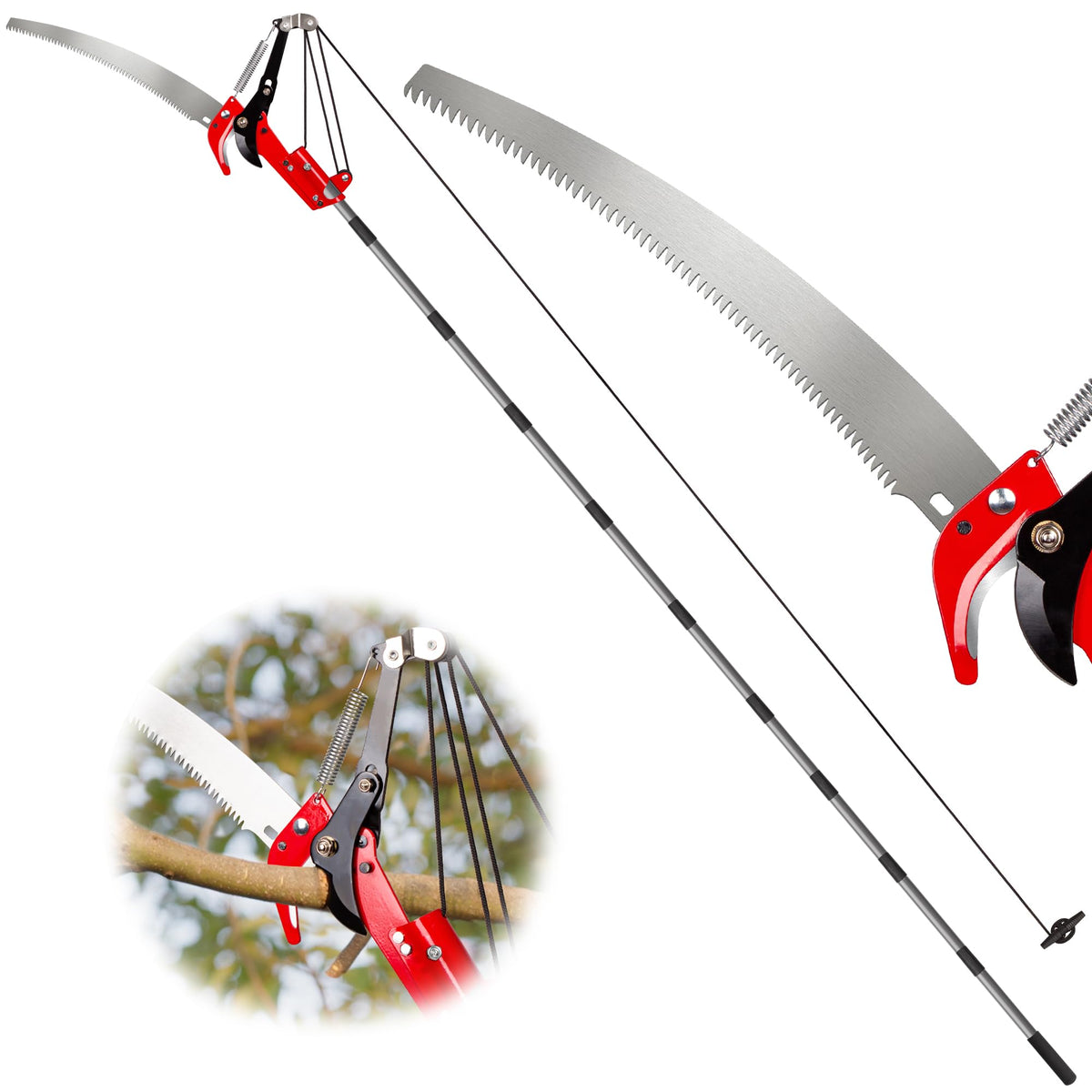 Suchtale pole saw extended setup for overhead pruning from ground