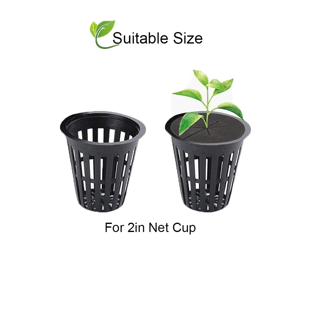 SUCOHANS closed-cell foam material offers durability and PH-neutral support for reliable cloning
