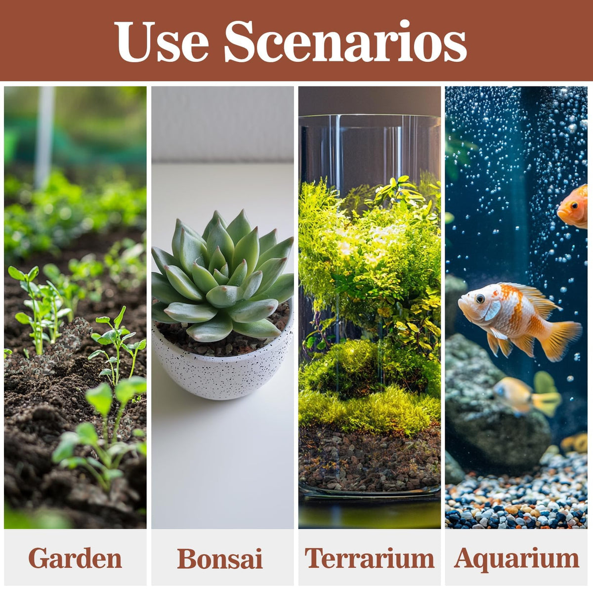 Sukh aquarium lava rocks enhance visual appeal and support natural filtration.