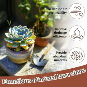 Sukh cactus soil amendment adds mineral-rich substrate for healthier cacti.