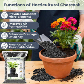 Sukh charcoal improves drainage and soil health in potting mixes