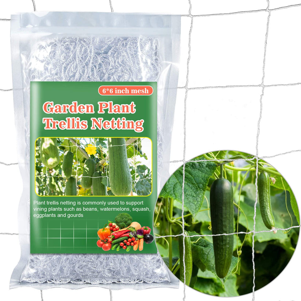Sukh Garden Trellis Netting installed on a frame to guide vertical growth.