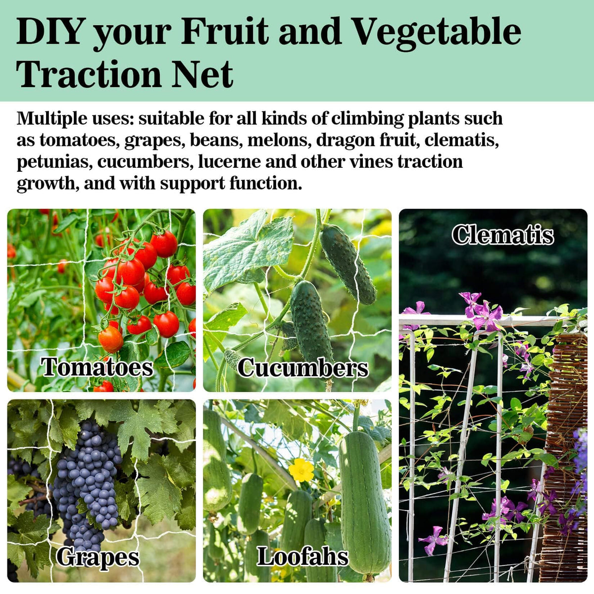 Sukh Garden Trellis Netting in a grow tent elevates airflow and harvest.