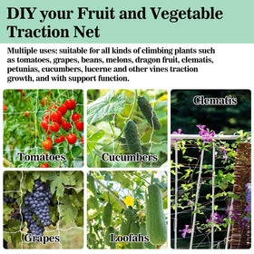 Sukh Garden Trellis Netting in a grow tent elevates airflow and harvest.