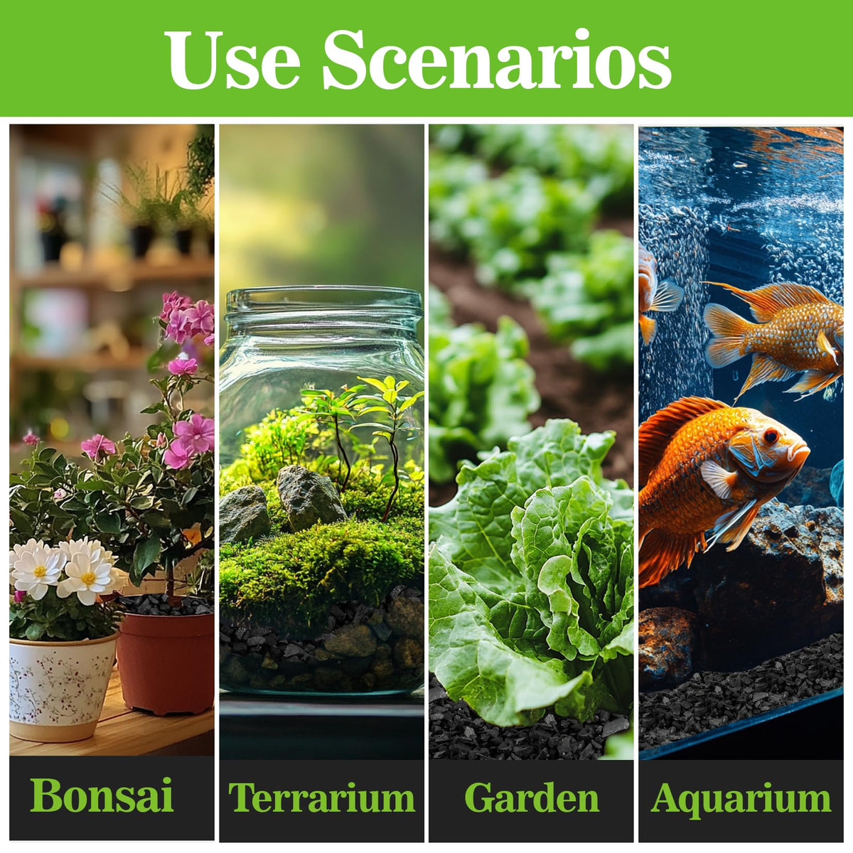 Sukh Horticultural Charcoal terrarium usage with moisture management benefits.