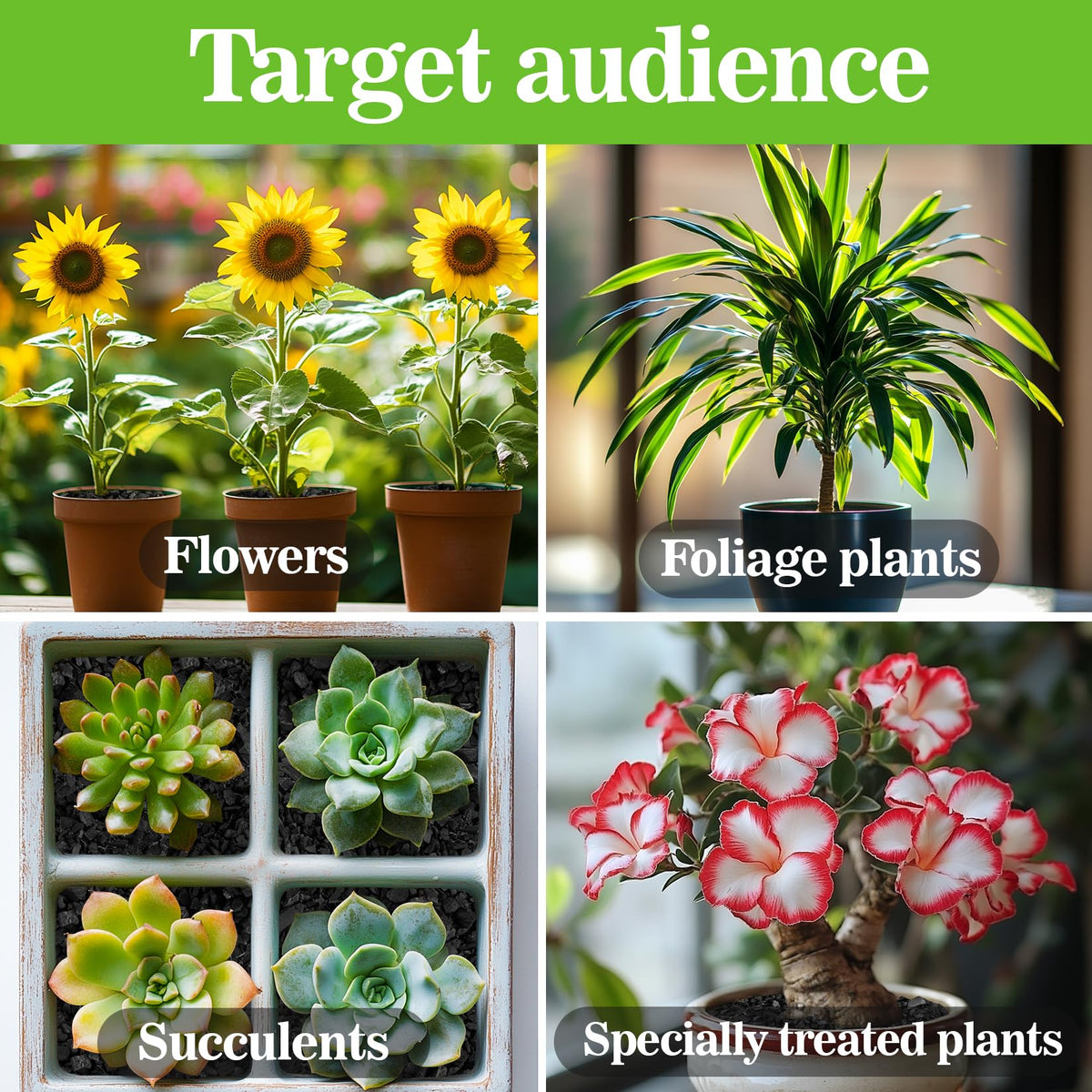 Sukh Horticultural Charcoal aids orchid and bonsai root airflow for robust growth.