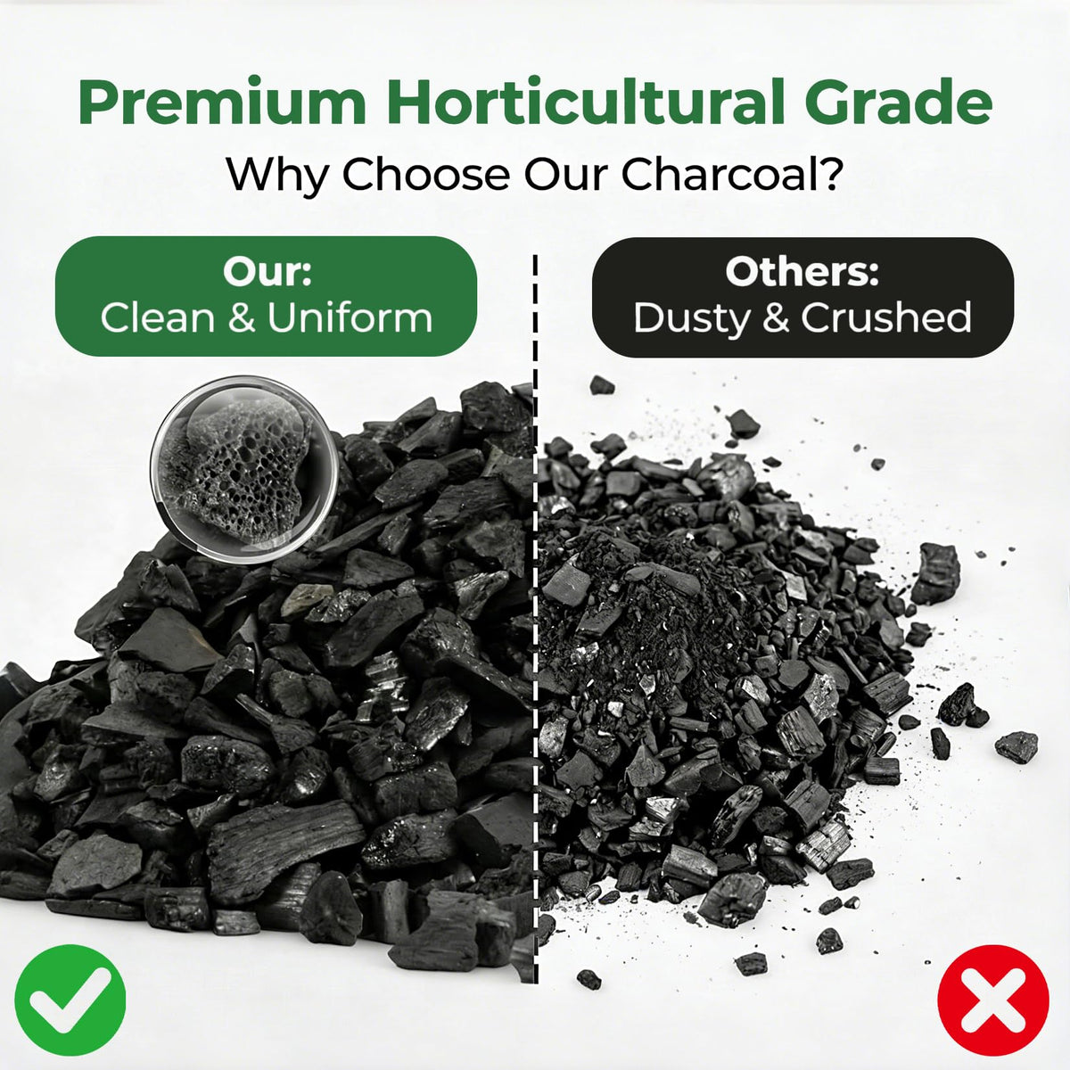 Sukh Horticultural Charcoal terrarium setup improving airflow and microclimate.
