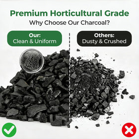 Sukh Horticultural Charcoal terrarium setup improving airflow and microclimate.