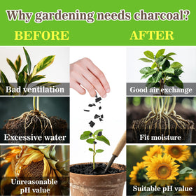 Sukh charcoal blends with perlite and pumice for versatile soils