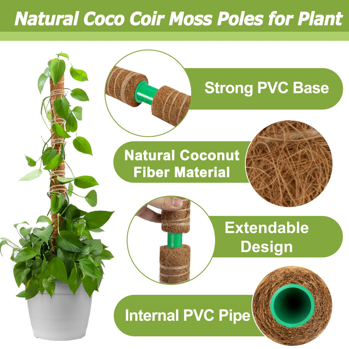 Sukh Moss Pole shows extendable height to grow with your plant as it climbs.