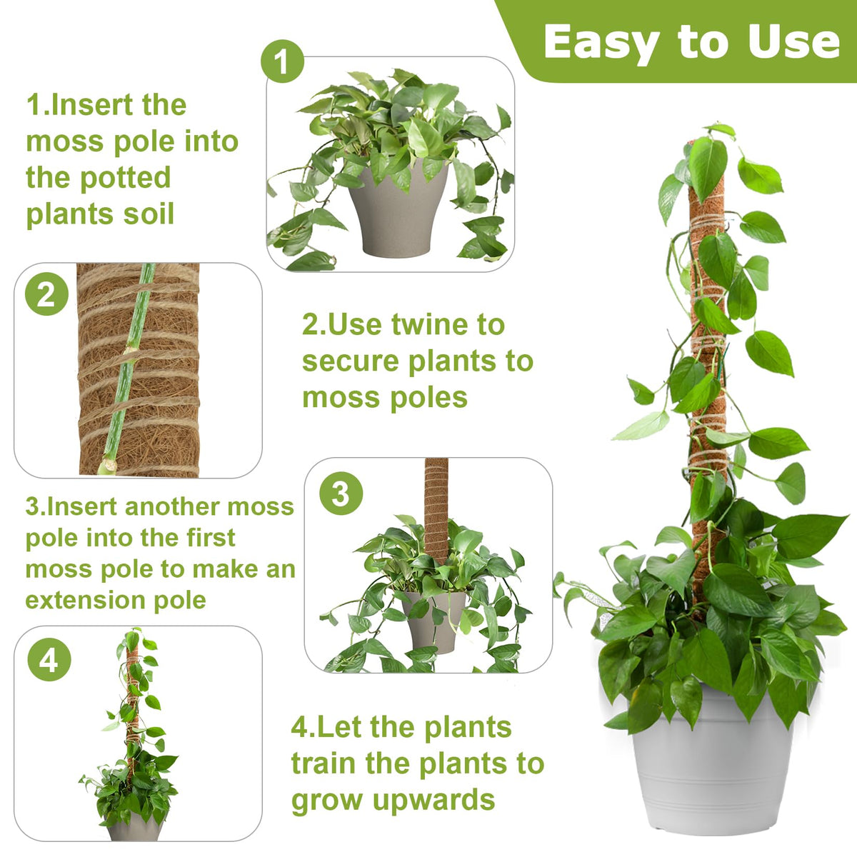 Two moss poles and 6.5 ft of jute rope included in the Sukh kit.