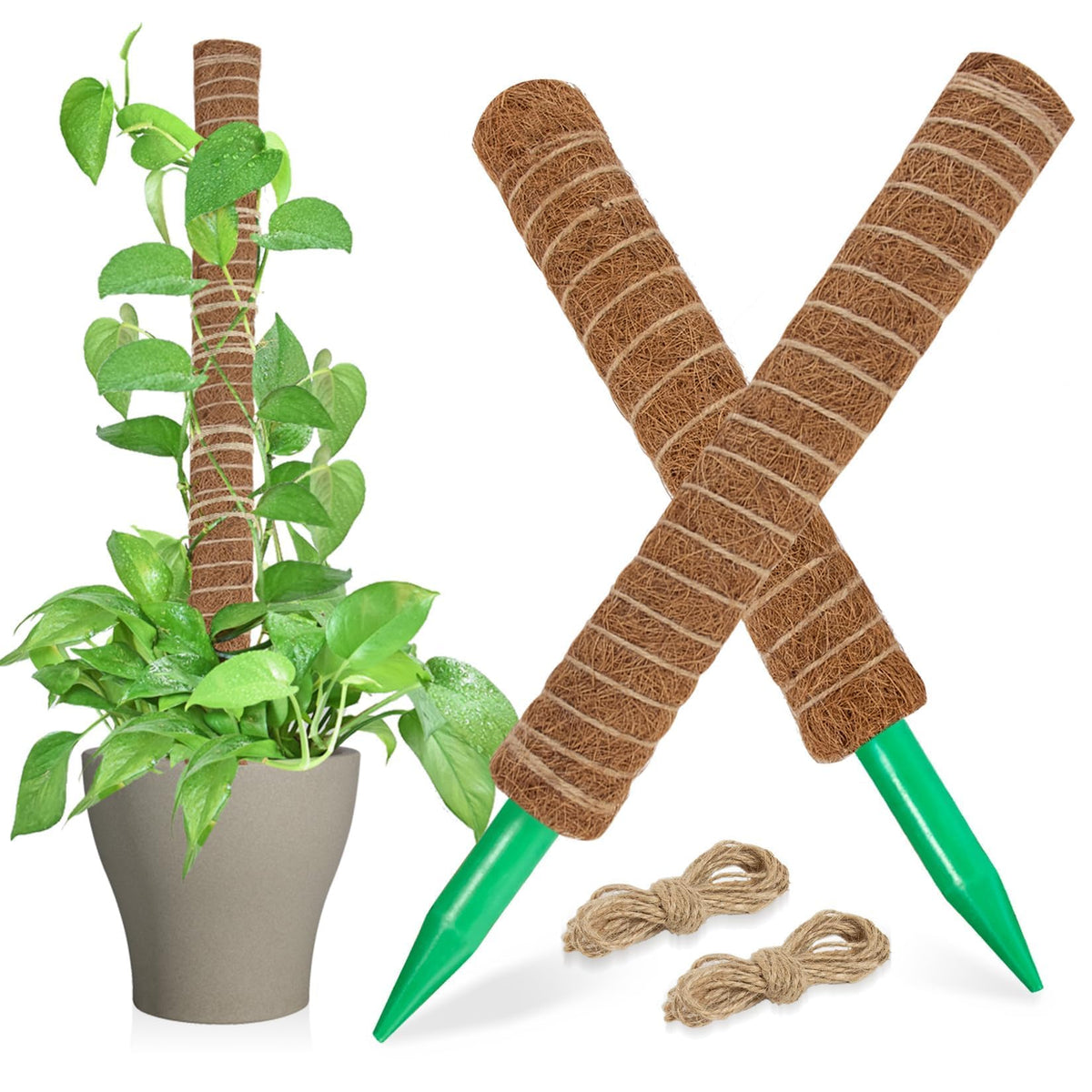 Sukh Moss Pole with a pointed base for stable soil insertion and upright growth.
