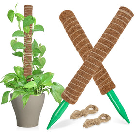 Sukh Moss Pole with a pointed base for stable soil insertion and upright growth.