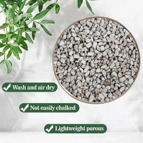 Sukh pumice stone in bonsai soil setup promotes better root space.