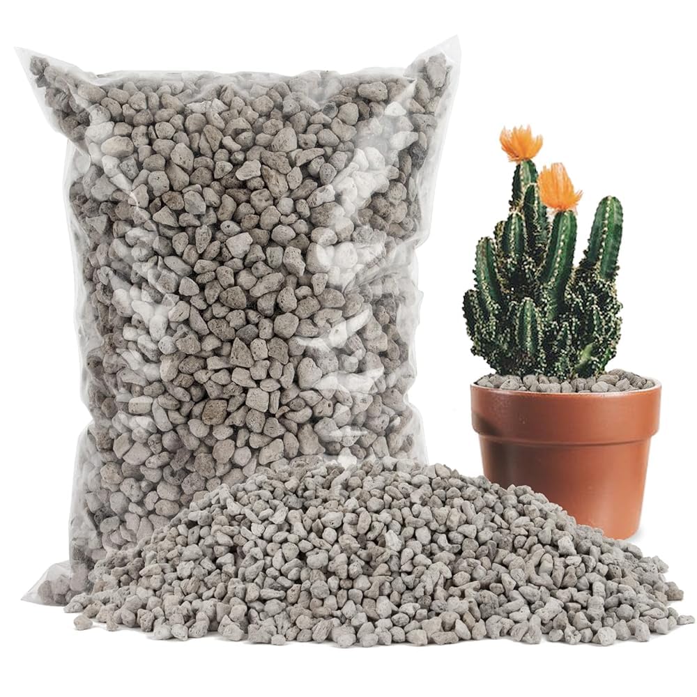 Sukh pumice stone close-up texture for better soil aeration.