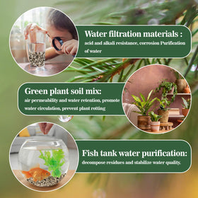 Sukh pumice stone around orchid roots supports steady moisture balance.