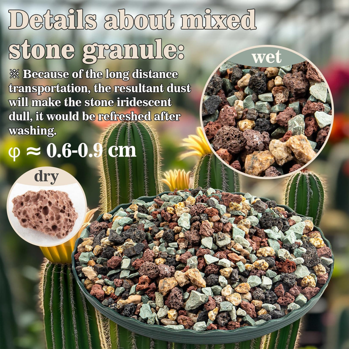 Sukh succulent soil mix showcases textured lava and stones for balanced moisture.