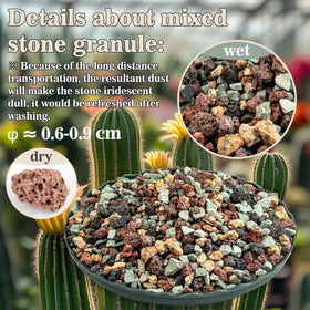 Sukh succulent soil mix showcases textured lava and stones for balanced moisture.