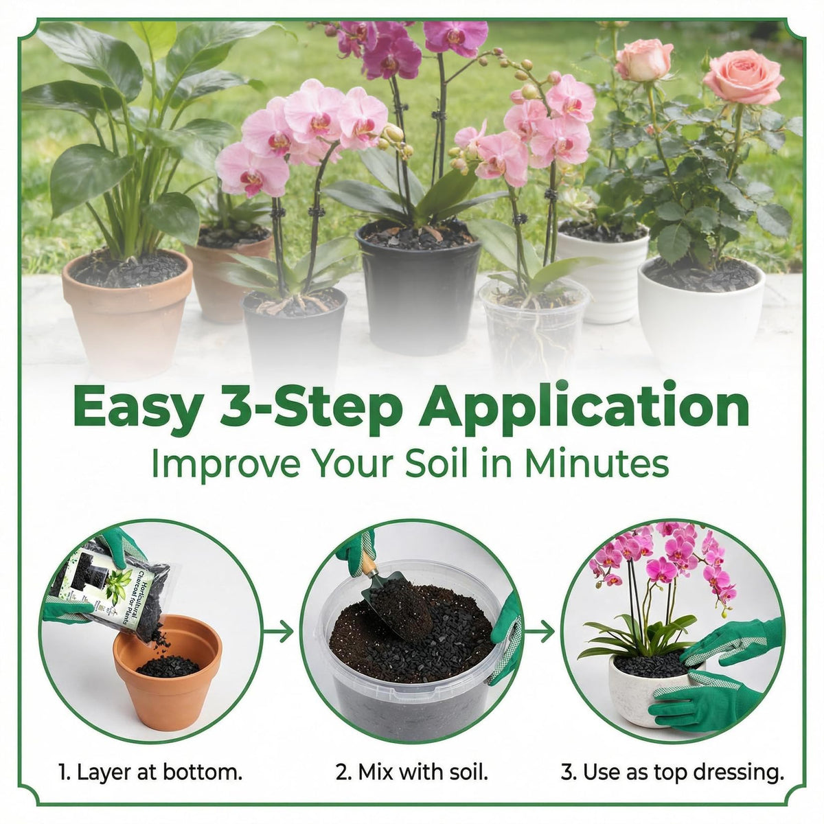 Sukh terrarium charcoal helps regulate humidity and odors