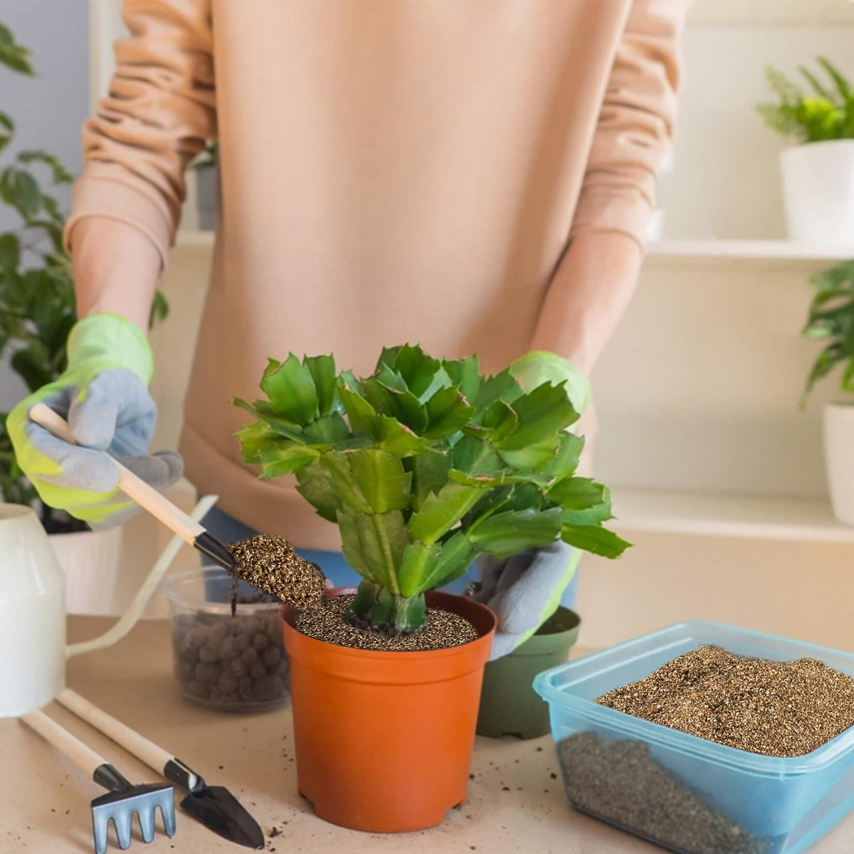 Sukh Vermiculite supports garden and indoor plant care for balanced growth