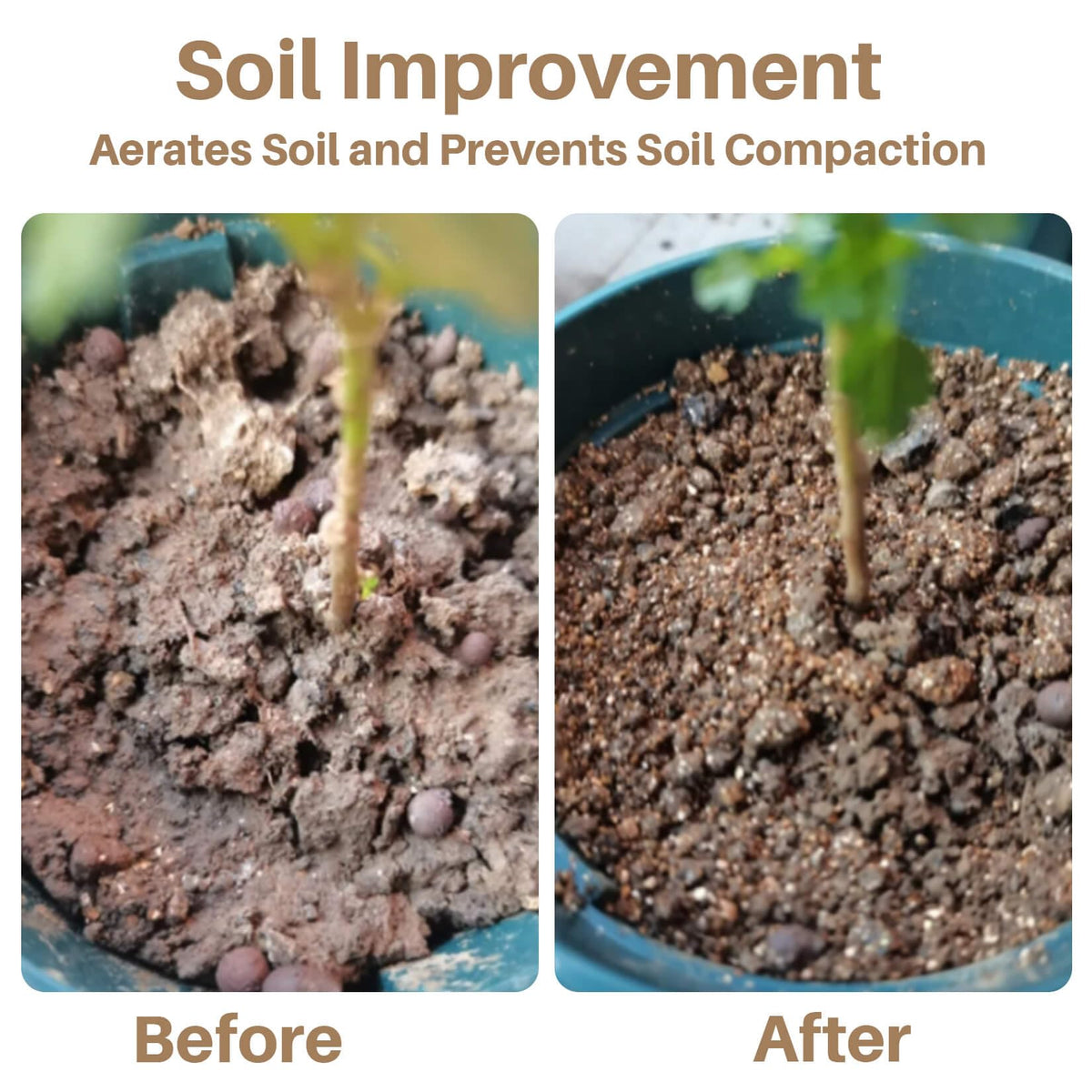 Sukh Vermiculite for seed starting and propagation in starter mixes