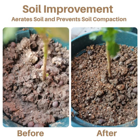 Sukh Vermiculite for seed starting and propagation in starter mixes