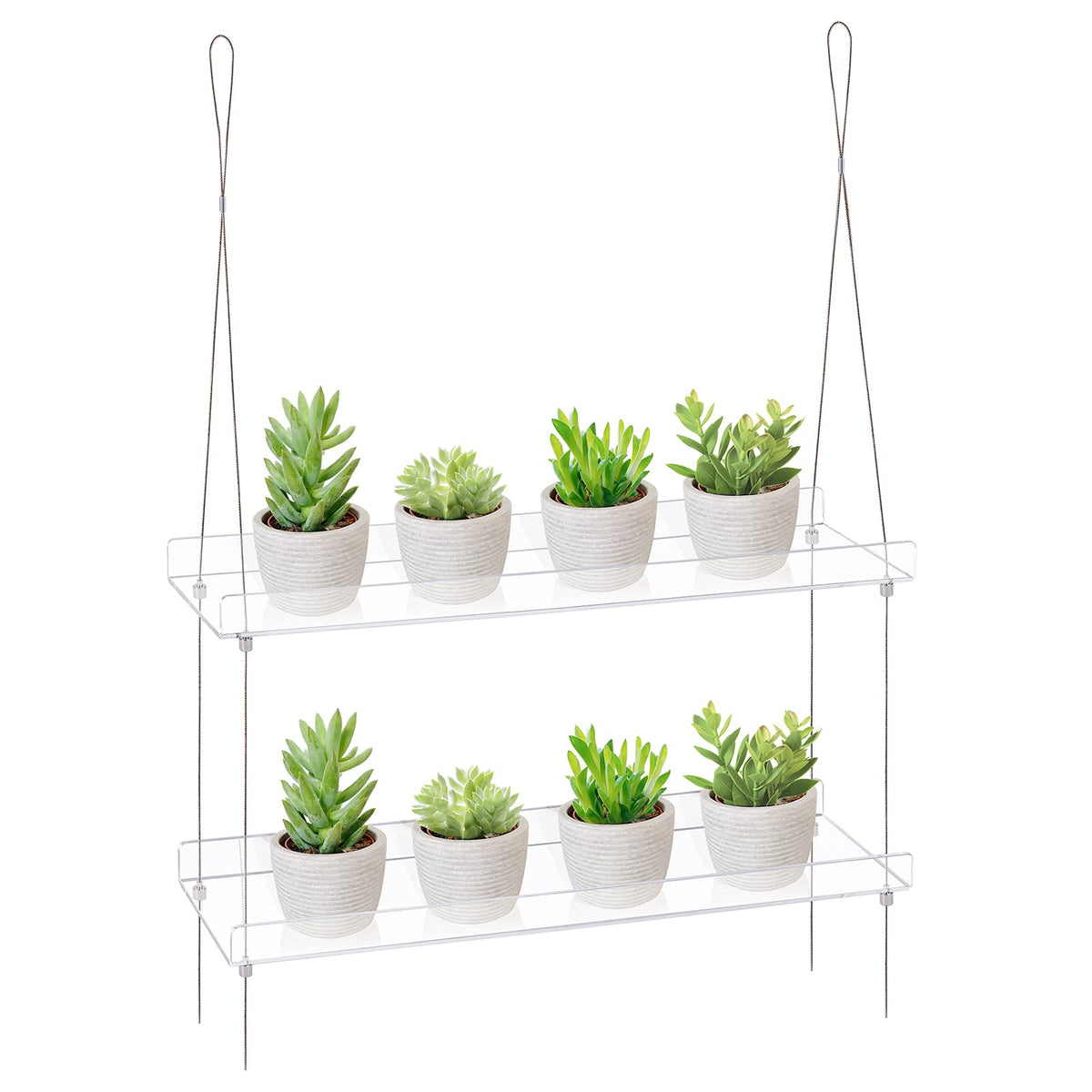 Sumerflos 2-tier acrylic window boxes showcasing sunlit plants and space-saving display.