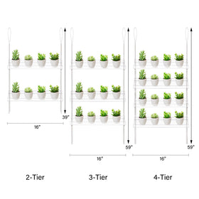 Sumerflos acrylic window boxes brighten spaces with natural light.