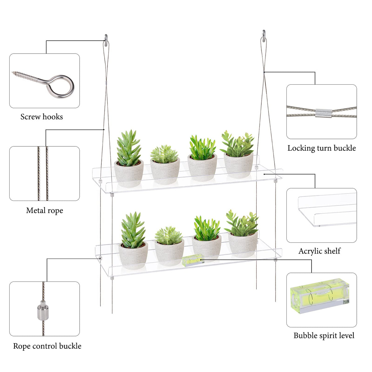 Sumerflos wall-hanging succulent display framed by bright indoor light.