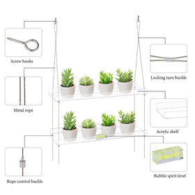 Sumerflos wall-hanging succulent display framed by bright indoor light.