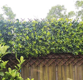 Sumery Nature willow divider: versatile room or garden boundary.