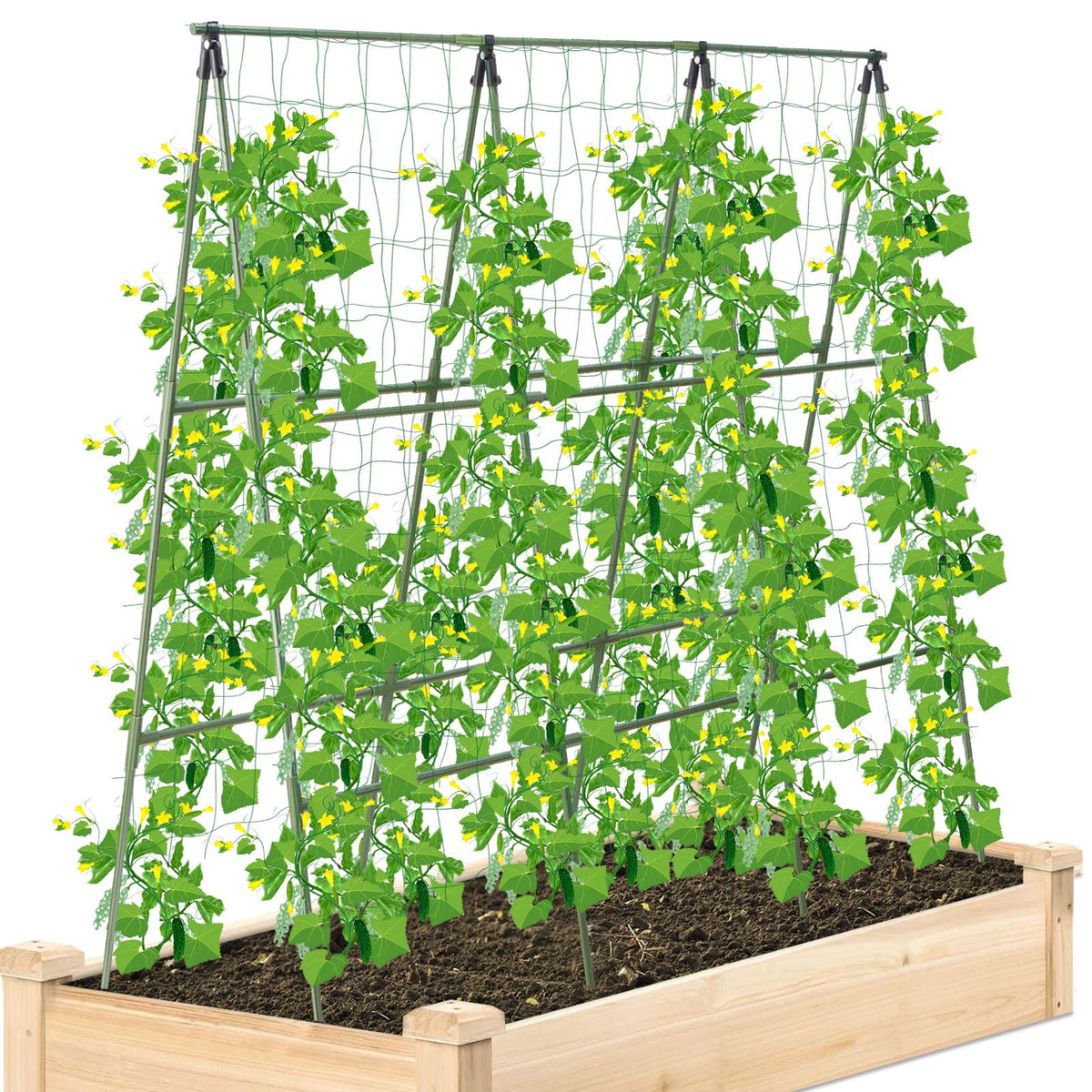Sumgrow cucumber trellis raised bed 4ft A-frame supports tall vines for easy training.