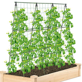 Sumgrow cucumber trellis raised bed 4ft A-frame supports tall vines for easy training.
