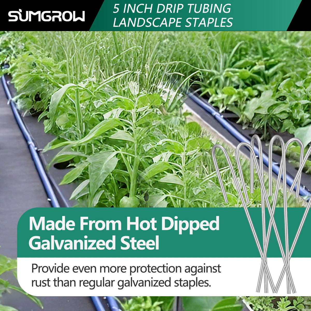 SUMGROW drip stake easy to insert by hand or mallet.