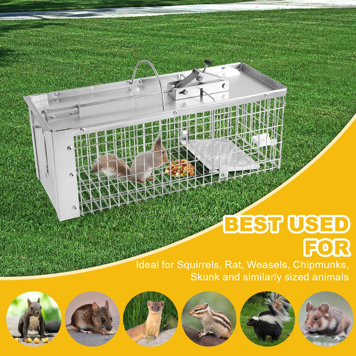 Sumkat Squirrel Trap galvanized steel construction resists chewing and weather.