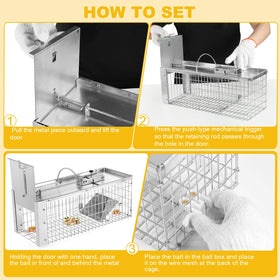 Sumkat Squirrel Trap internal structure highlights safe release design.