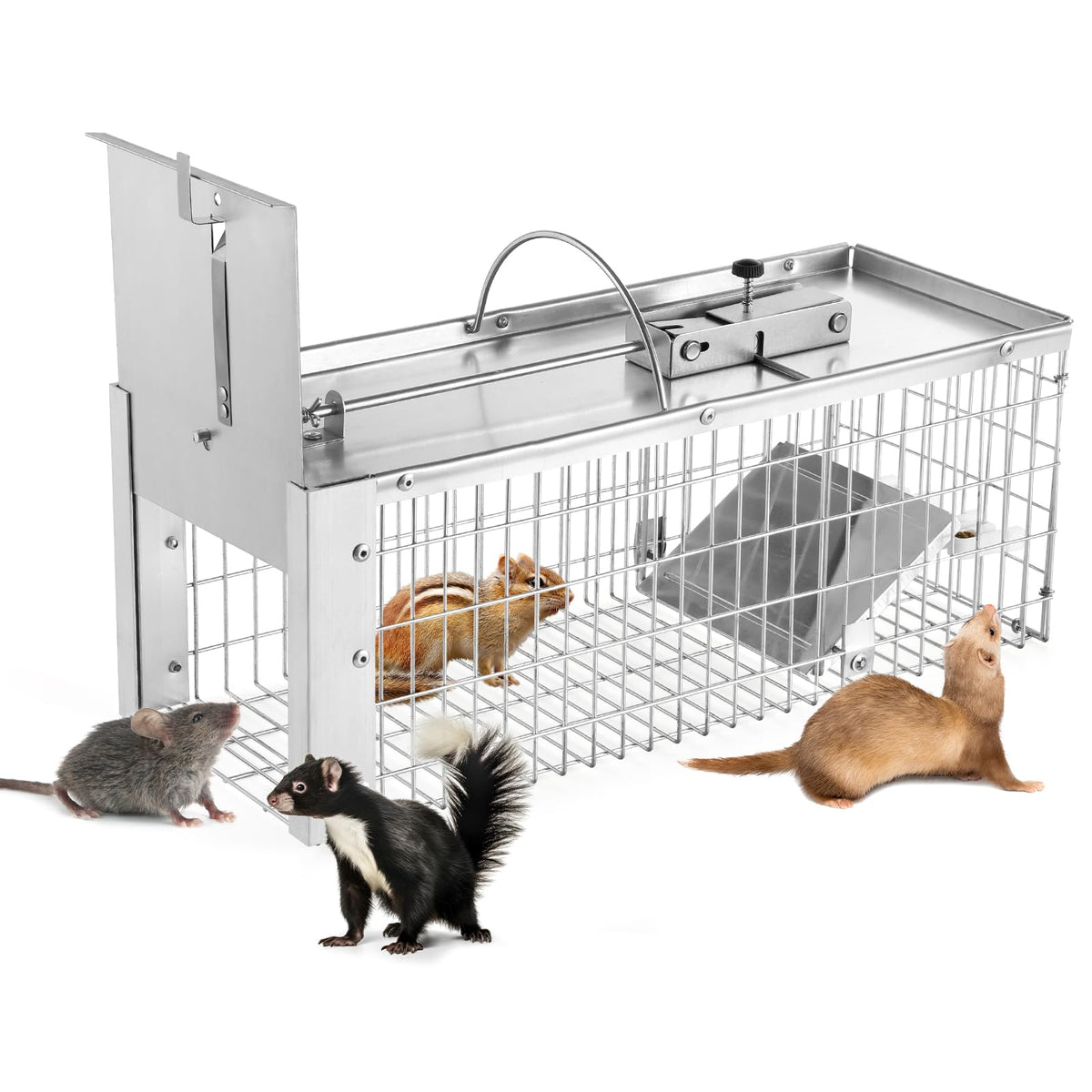 Sumkat Squirrel Trap outdoors shows durability for humane capture.