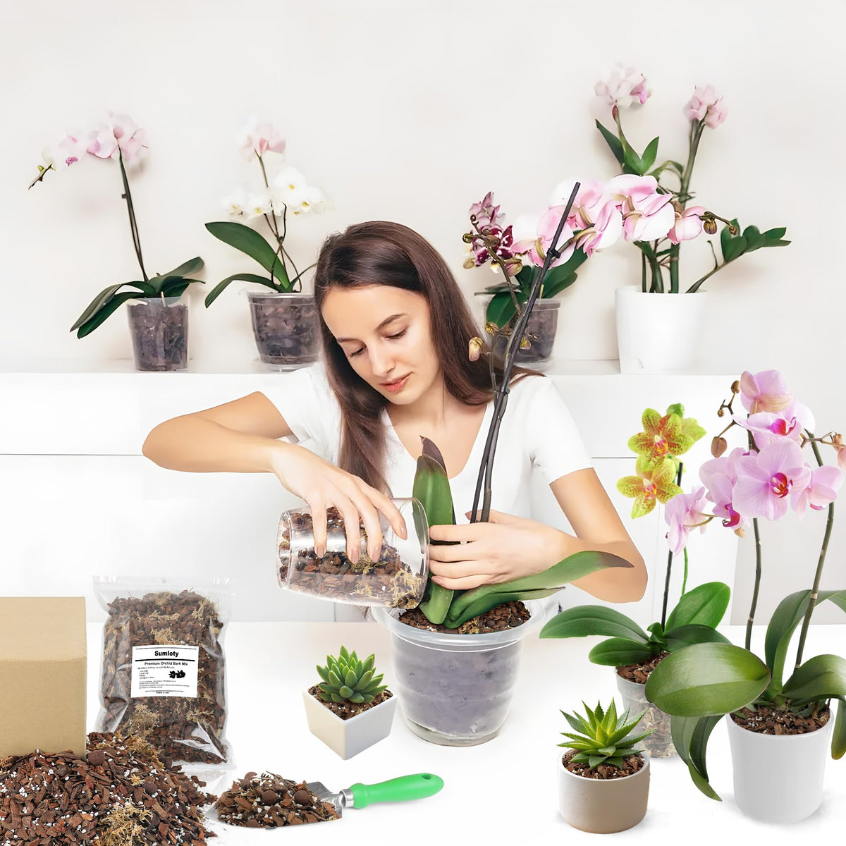 Sumloty indoor orchid care setup demonstrates adaptable use for houseplants