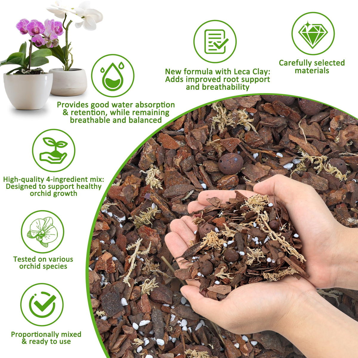 Sumloty orchid bark closeup moss layer supports moisture retention for epiphytic orchids