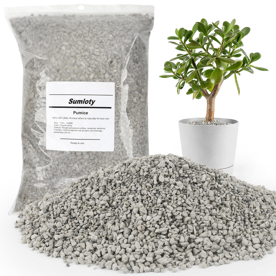 Sumloty pumice 8qt bag enhancing soil drainage and aeration.