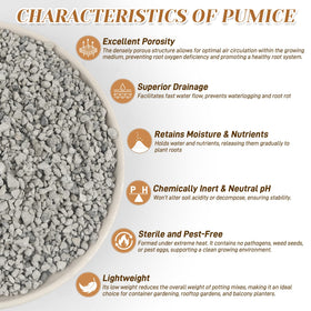 Sumloty pumice porous rocks promote better root aeration.