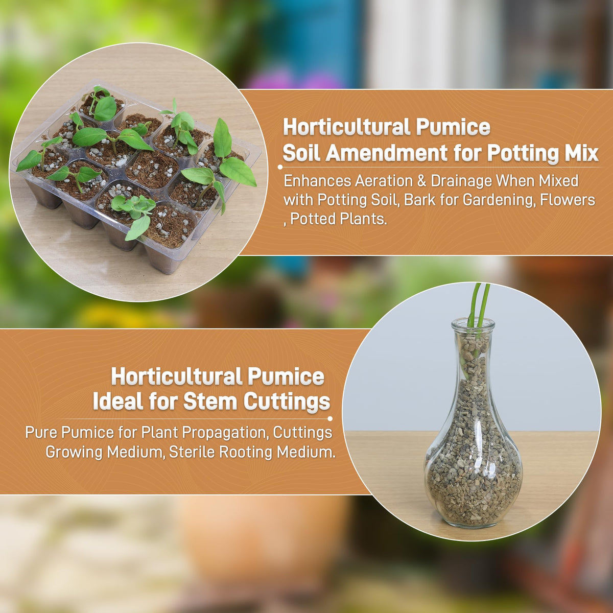 Sumloty pumice in potting mix boosts root health.