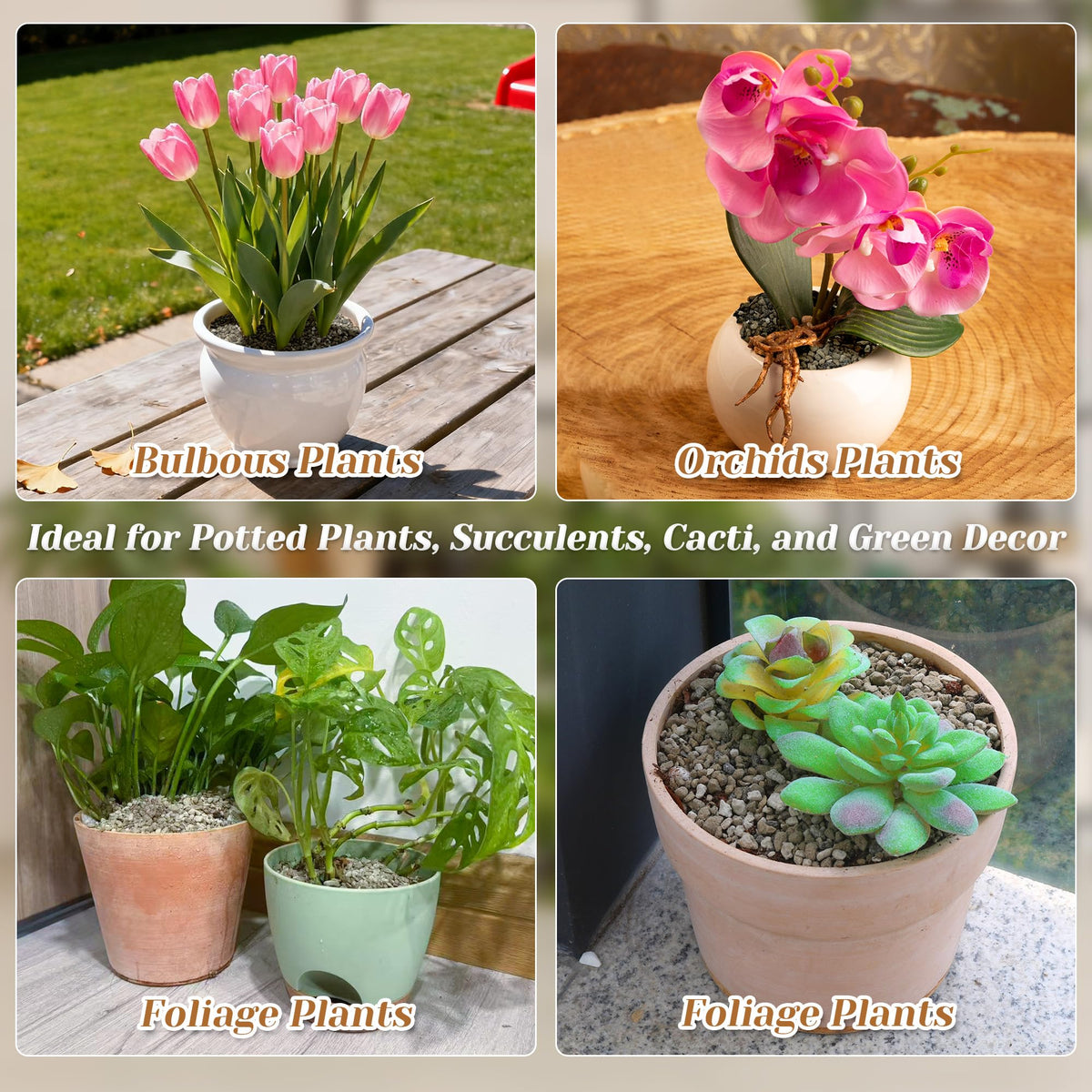 Sumloty pumice supports stronger root development in plants.