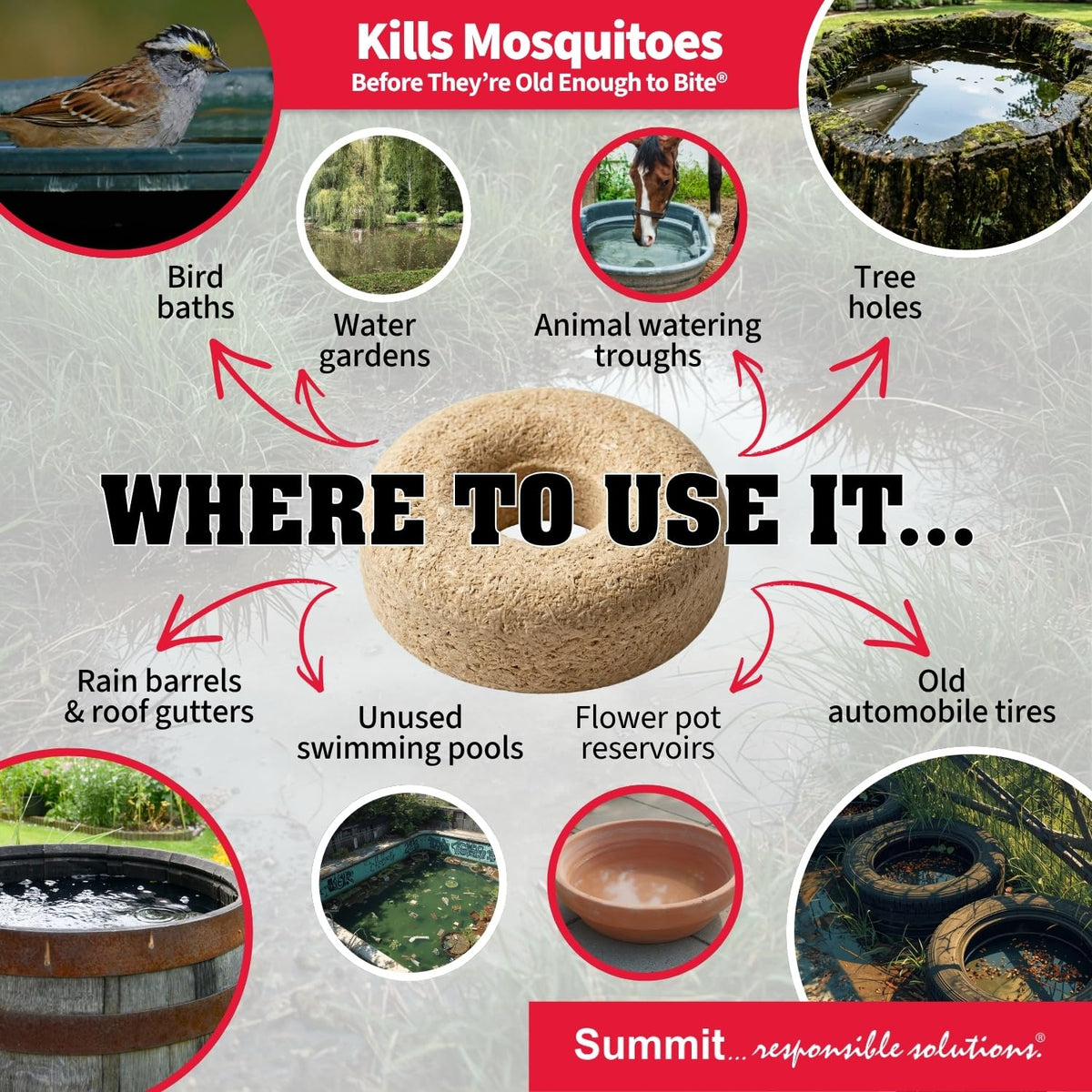 Summit Mosquito Dunk Chunks in a rain barrel protect water from larvae