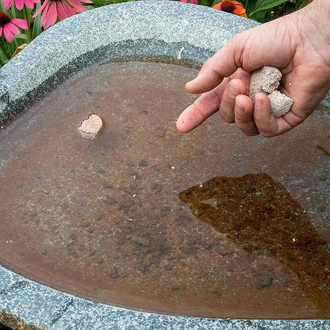 Summit Mosquito Dunks in backyard standing water feature for ongoing protection.