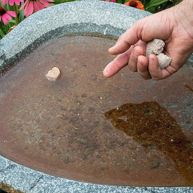 Summit Mosquito Dunks in backyard standing water feature for ongoing protection.