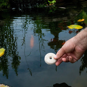 Summit Mosquito Dunks BTI larvae image highlighting targeted control for larvae.