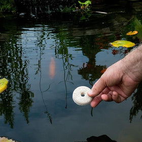 Summit Mosquito Dunks floating on water prevents larvae growth in containers.
