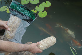 Summit pond with fountain shows crystal-clear water after barley straw treatment.