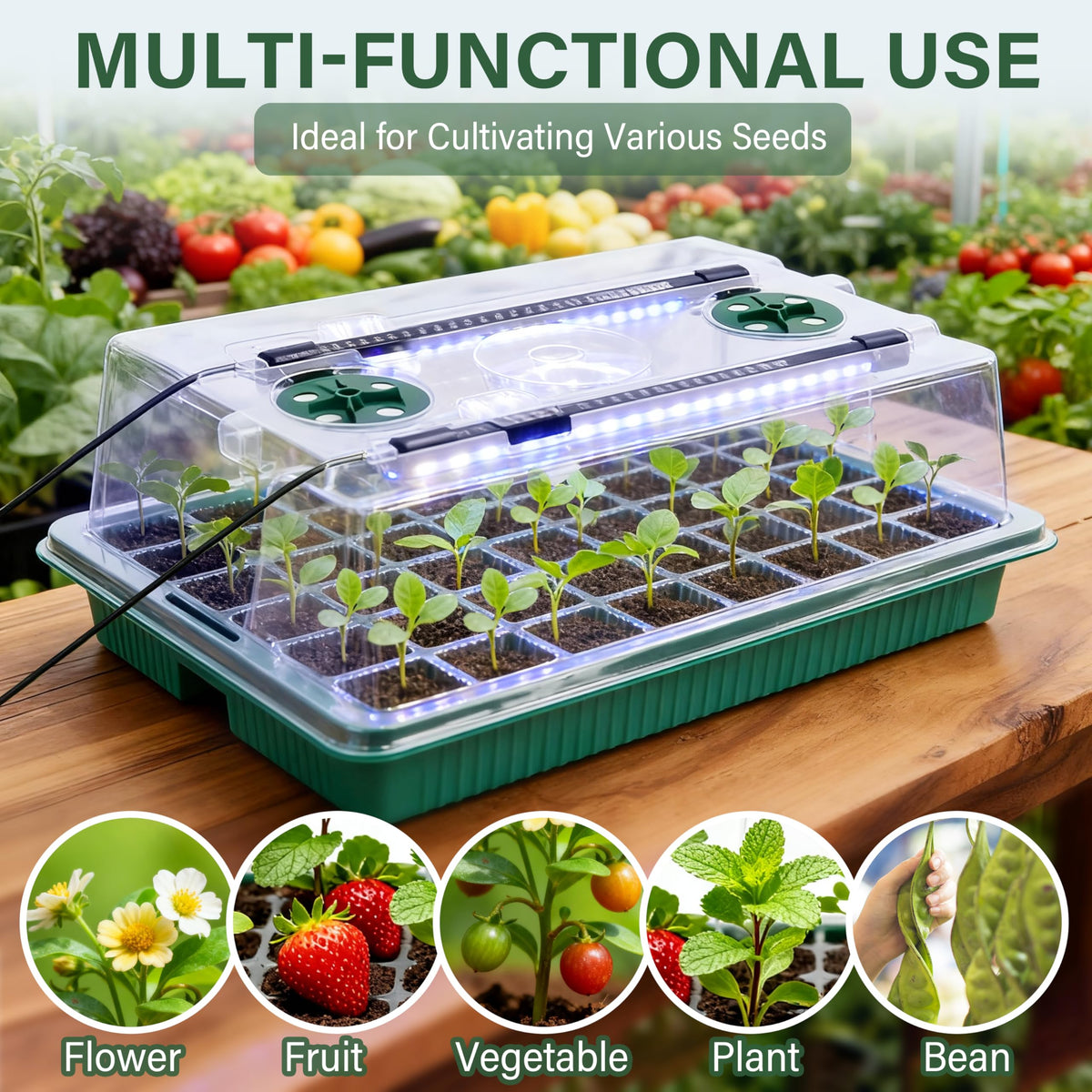 SummitGo indoor seed starting setup for year-round germination